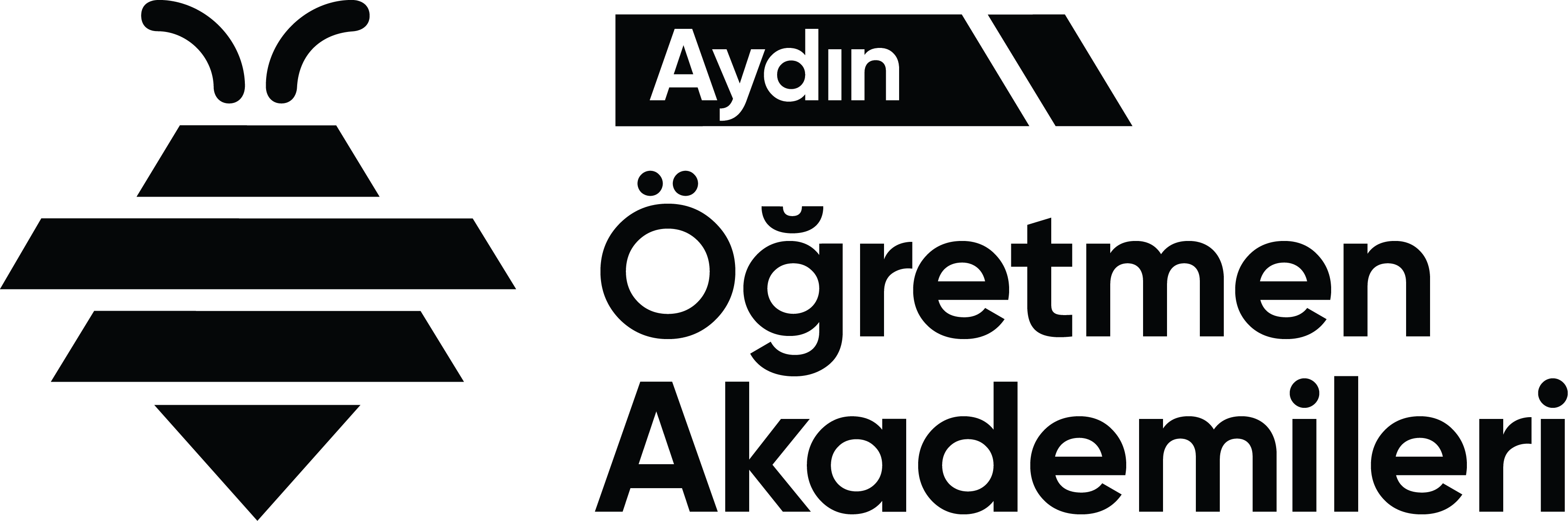 Aydın Öğretmen Akademileri Logo